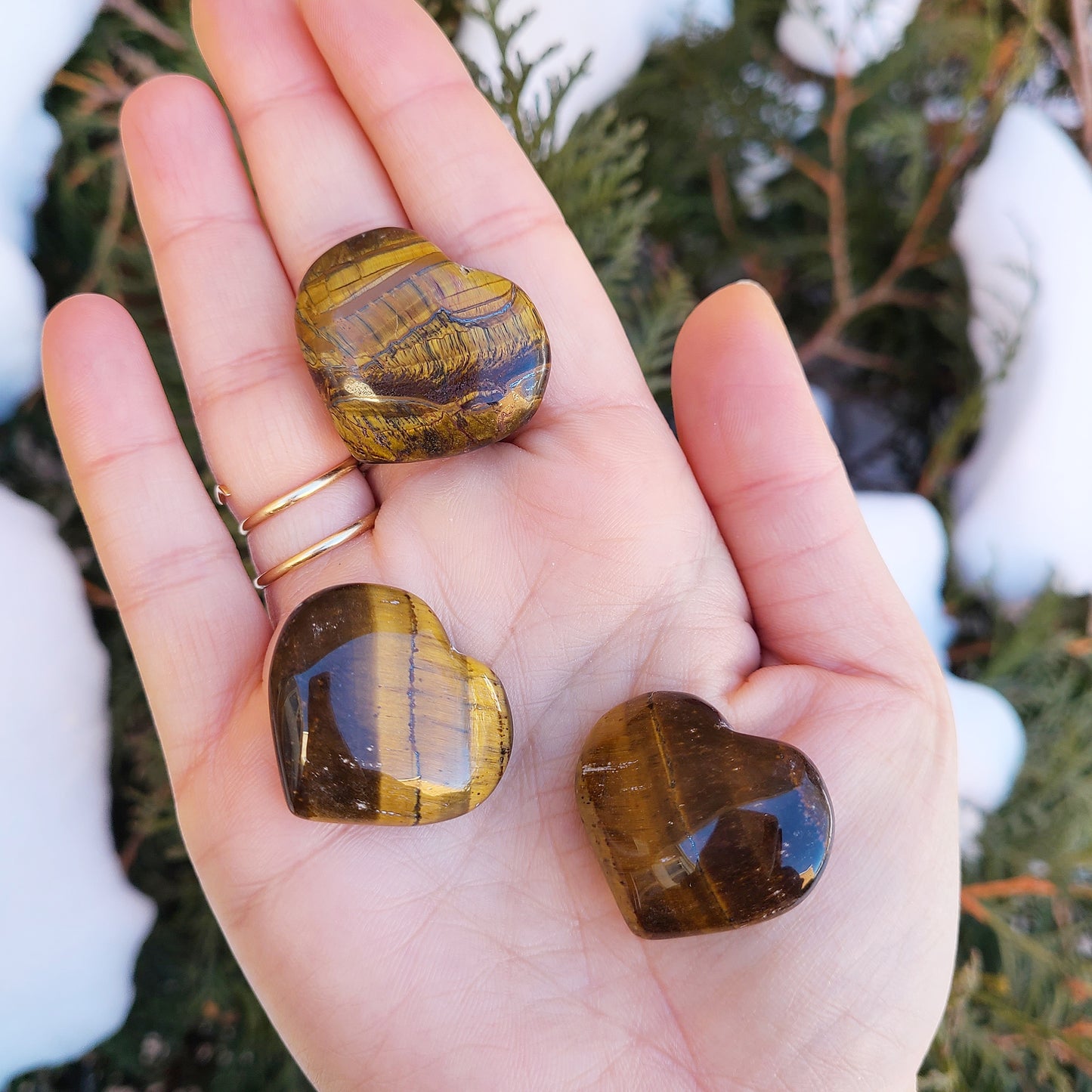 TIGERS EYE